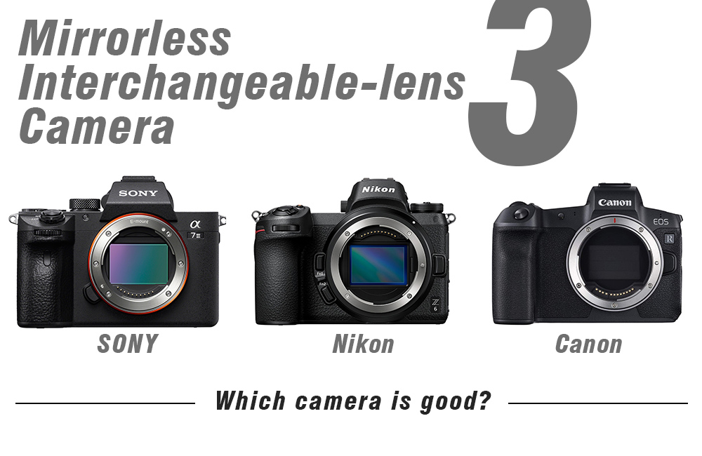 主要３メーカー「SONY α7Ⅲ」と「Nikon Z6」「Canon EOS R」をサクッと比較してみた