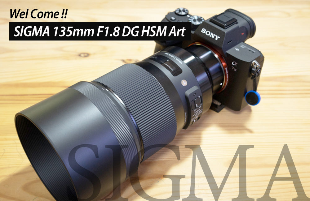 大注目 SIGMA 単焦点 Eマウント ソニー DG F1.8 135mm Art レンズ(単焦点)