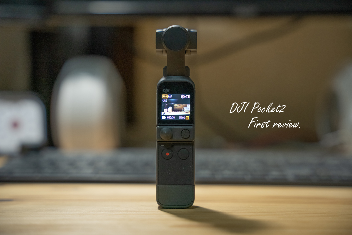 Vlogカメラ「DJI Pocket2」の14日間レビュー。使って分かった8つのこと ...